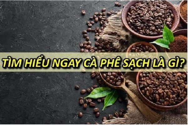 tim-hieu-ca-phe-sach-la-gi