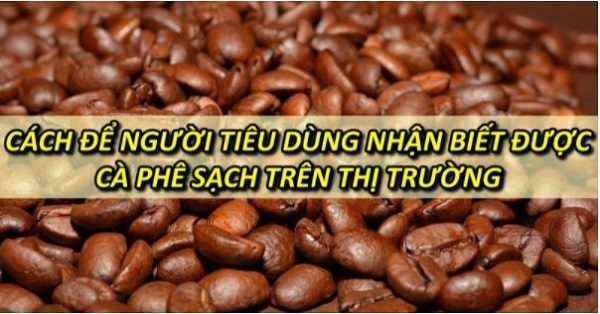 cach-nhan-biet-duoc-ca-phe-sach