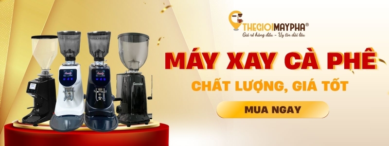 Mua máy xay cà phê giá rẻ tại Thế Giới Máy Pha