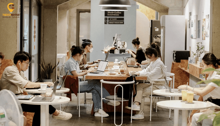 Máy pha cà phê công suất lớn phù hợp với những mô hình nào?