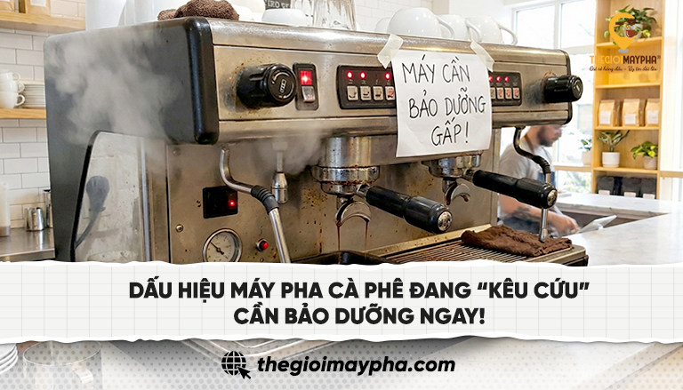 vệ sinh máy pha cà phê