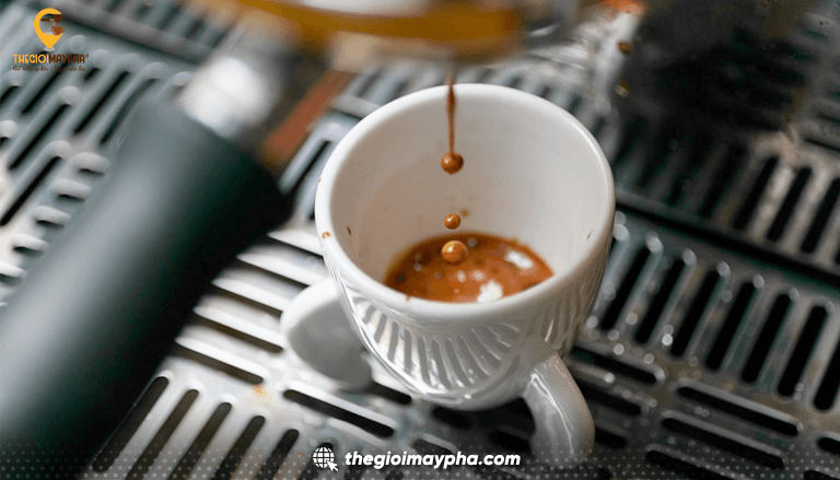 Bao lâu nên bảo trì máy pha cà phê một lần?