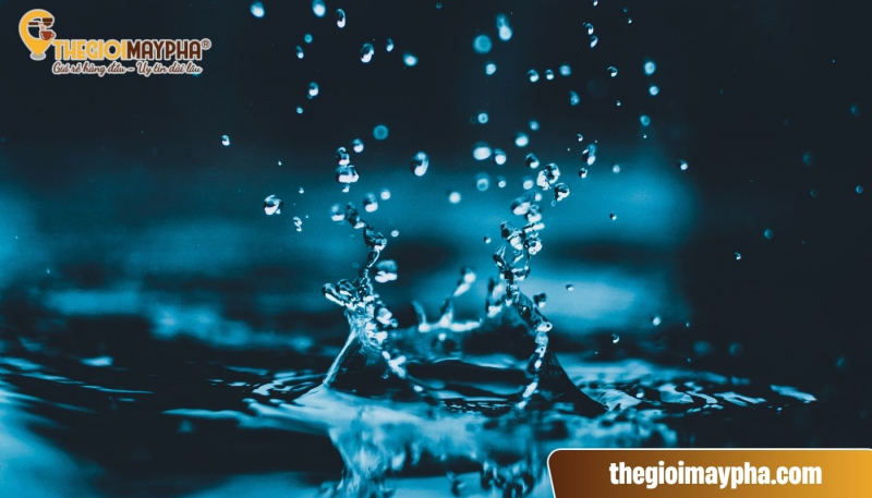 Cách pha cà phê máy: tỷ lệ, thao tác kỹ thuật cho người mới