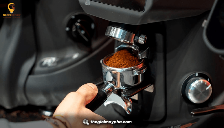 Máy xay cà phê nào phù hợp cho quán đông khách? Kinh nghiệm lựa chọn để phục vụ nhanh và ổn định