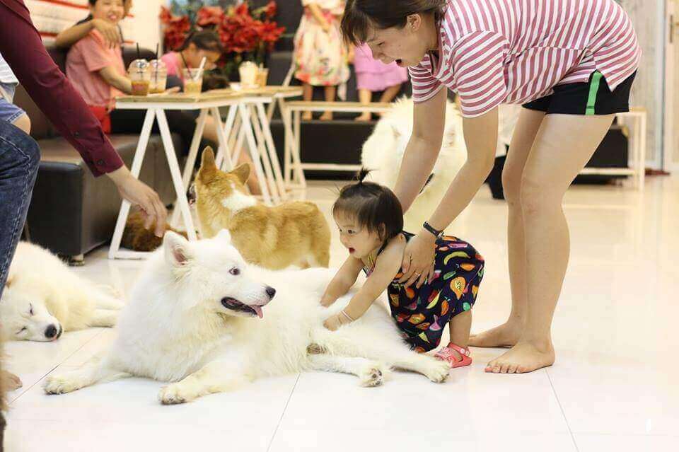 Chạy quảng cáo facebook giúp bạn tiếp cận với lượng lớn khách hàng mục tiêu và thu hút họ tới quán.