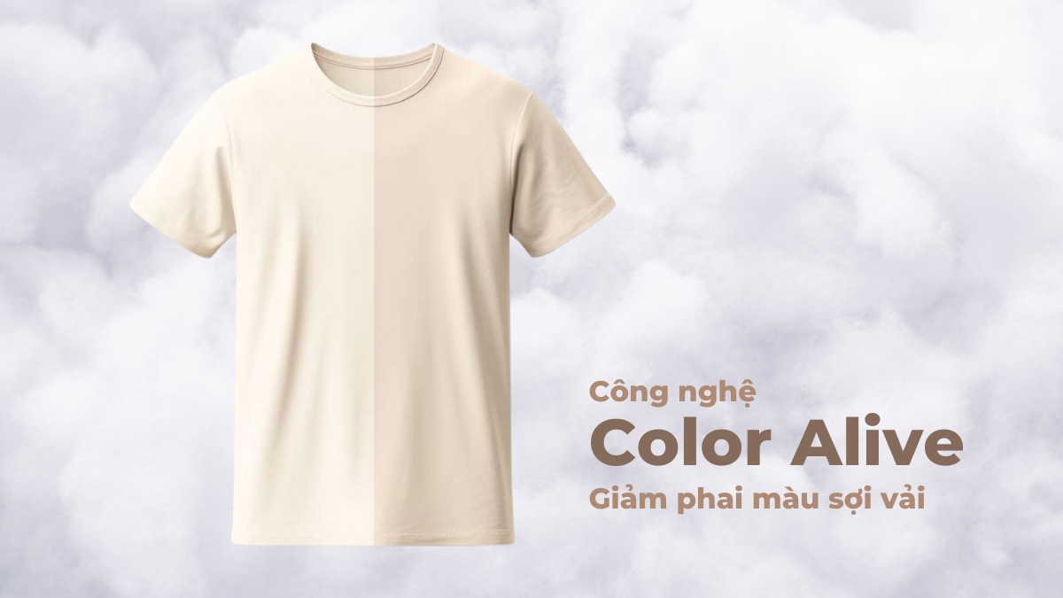 Máy Giặt Toshiba 10.5 kg TW-T25BZU115MWV(MG) Công nghệ Color Alive giảm thiểu tình trạng quần áo phai màu