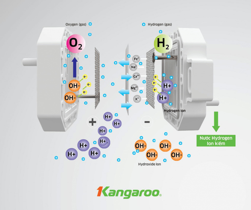 may-loc-nuoc-ro-hydrogen-kangaroo-kg100eo-7-loi-35165-3 Máy lọc nước Hydrogen Kangaroo KG100EO 7 lõi Máy lọc nước Kangaroo Ion kiềm KG100EO tạo nước kiềm tốt cho sức khỏe