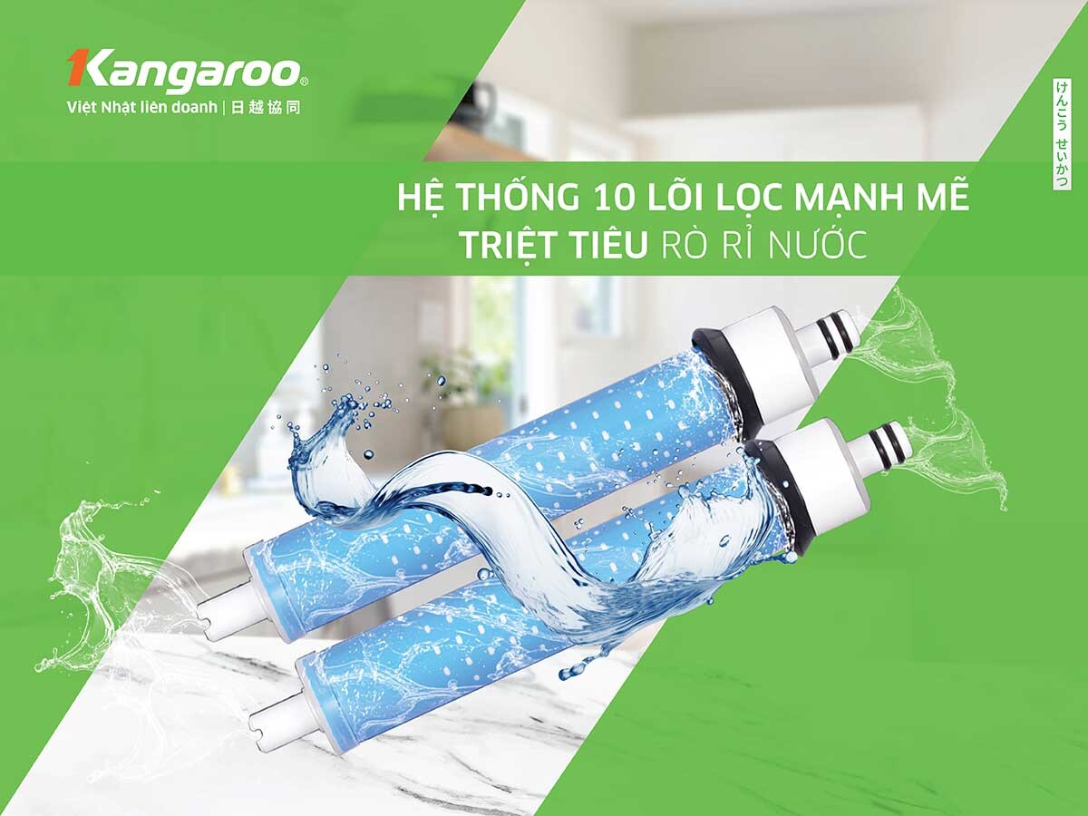 Máy lọc nước RO Kangaroo KG100HC2 1