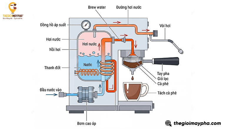 Máy pha cà phê hoạt động như thế nào? Giải thích dễ hiểu cho người mới bắt đầu