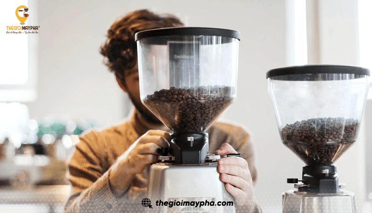 Máy xay cà phê loại nào tốt? 5 tiêu chí chọn chuẩn barista