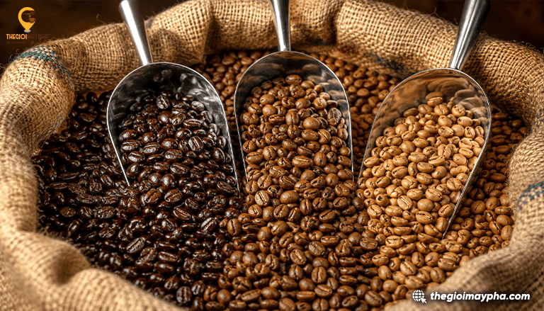 Single Origin là gì? Tìm hiểu đặc điểm và lý do ngày càng được yêu thích trong thế giới cà phê