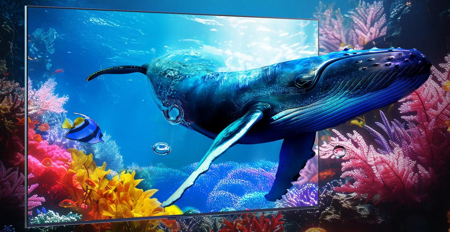 Smart Tivi LG QNED Evo AI 4K 75 Inch 75QNED9MASA