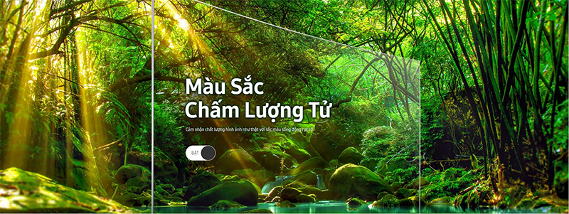 Công nghệ màn hình chấm lượng tử Quantum Dot Smart Tivi QLED Cong Samsung 4K 55 Inch 55Q8CNA Công nghệ màn hình chấm lượng tử Quantum Dot
