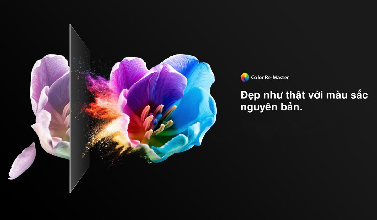 smart-tivi-qled-toshiba-4k-65-inch-65m450np-93417-6 Color Re-Master giúp tivi hiển thị chính xác hơn màu sắc của từng chi tiết