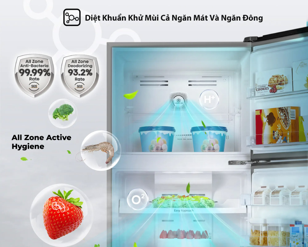 Tủ lạnh Hisense Inverter 205 Lít RT256N4EBN Công nghệ All Zone Active Hygiene diệt khuẩn, khử mùi hiệu quả