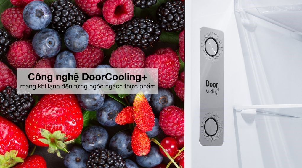 Tủ lạnh LG Inverter 314 Lít LTD31BLM Tủ lạnh LG Inverter 314 lít LTD31BLM - Công nghệ làm lạnh