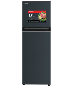 Tủ lạnh Toshiba Inverter 253 Lít GR-RT329WE-PMV(52)