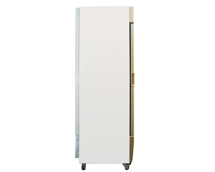 if-350g_0000s_0001_layer-2