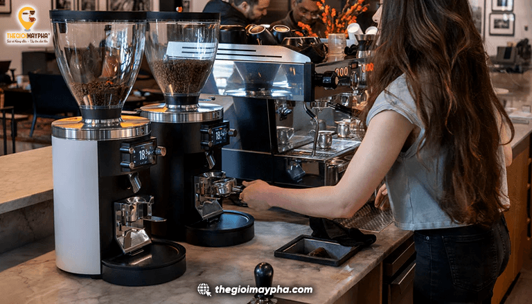 Máy xay cà phê nào phù hợp cho quán đông khách? Kinh nghiệm lựa chọn để phục vụ nhanh và ổn định