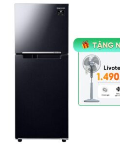Tủ lạnh Samsung Inverter 208 Lít RT20HAR8DBU/SV