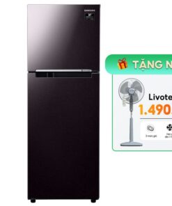 Tủ lạnh Samsung Inverter 236 Lít RT22M4032BY/SV
