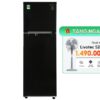 Tủ lạnh Samsung Inverter 256 Lít RT25M4032BU/SV