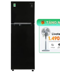 Tủ lạnh Samsung Inverter 256 Lít RT25M4032BU/SV