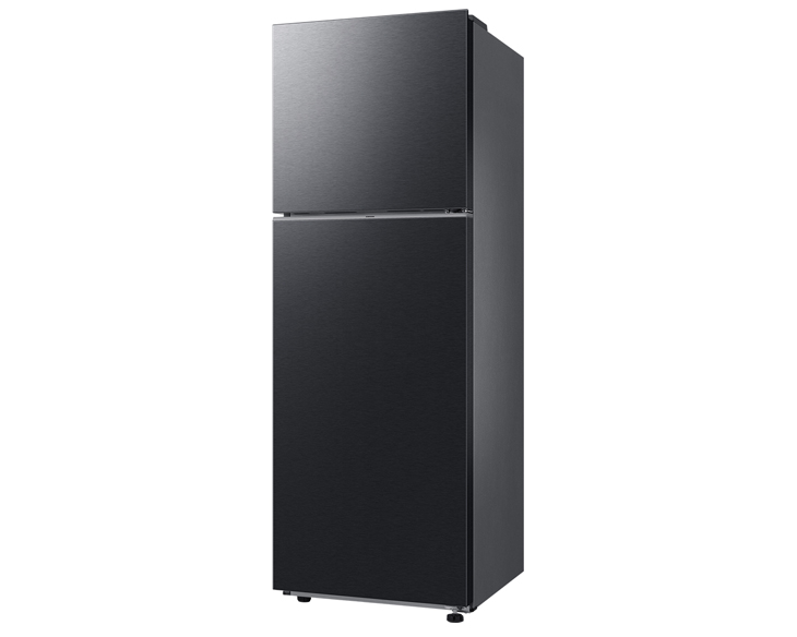 rt31cg5424b1sv-5