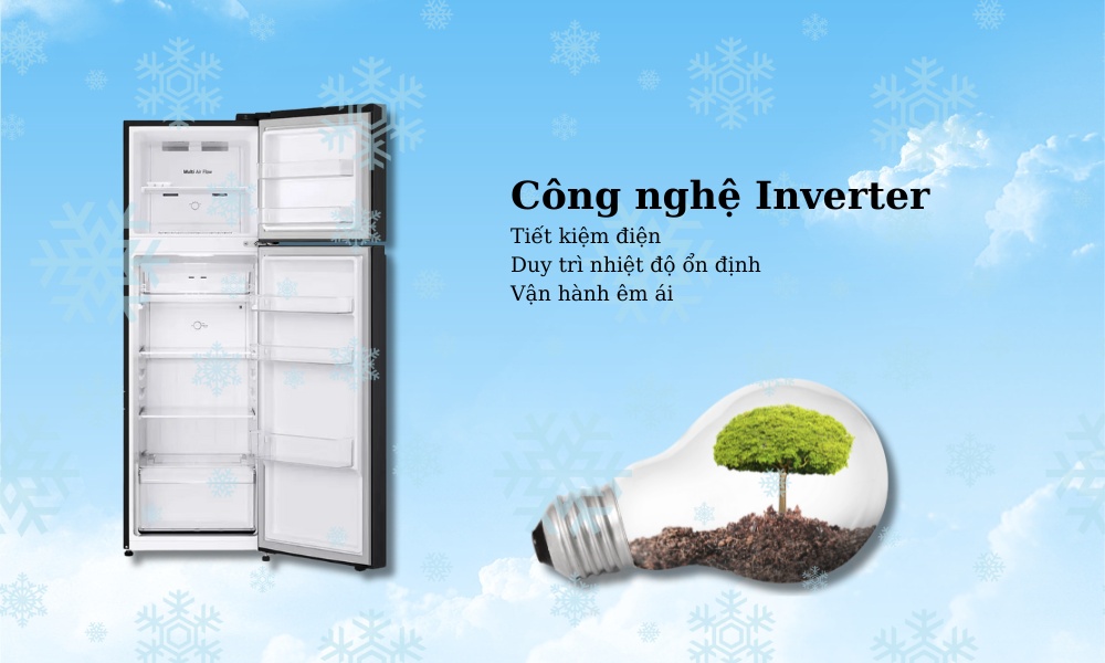 tu-lanh-lg-inverter-260-lit-ltb26blm-103088-1