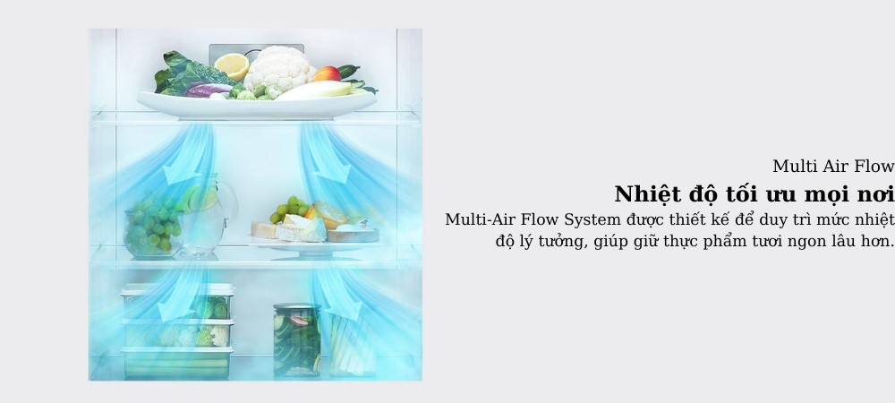 MTSP_Dienlanh_2025.05_989_167231_Tủ Lạnh LG Inverter 266 Lít LTB26BLM - 2