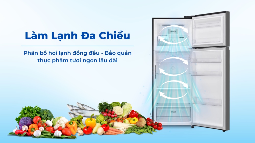 tu-lanh-lg-inverter-461-lit-ltb46blg-86913-1