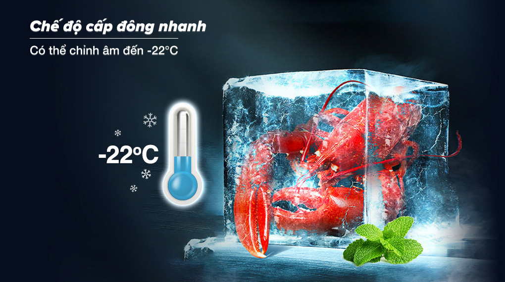 tu-lanh-sharp-inverter-362-lit-multi-door-sj-fx420v-sl-15454-2