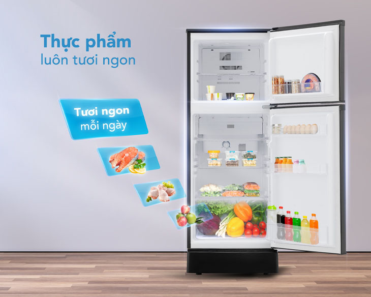 tu-lanh_0017s_0002_t6126tdg