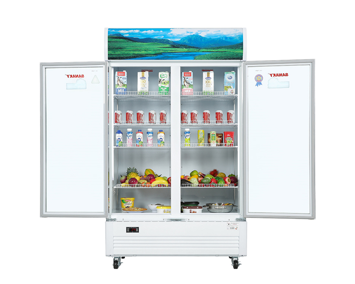 vh-1009hp-2