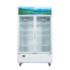 Tủ mát Sanaky 900 Lít VH-1009HP