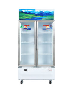Tủ mát Sanaky 500 Lít VH-6009HP